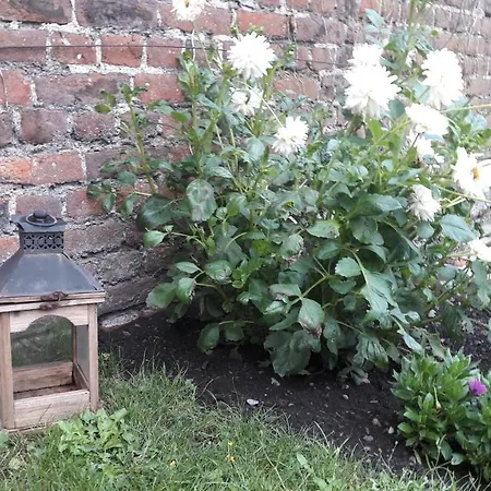 Office Des Bons Enfants Отель типа 